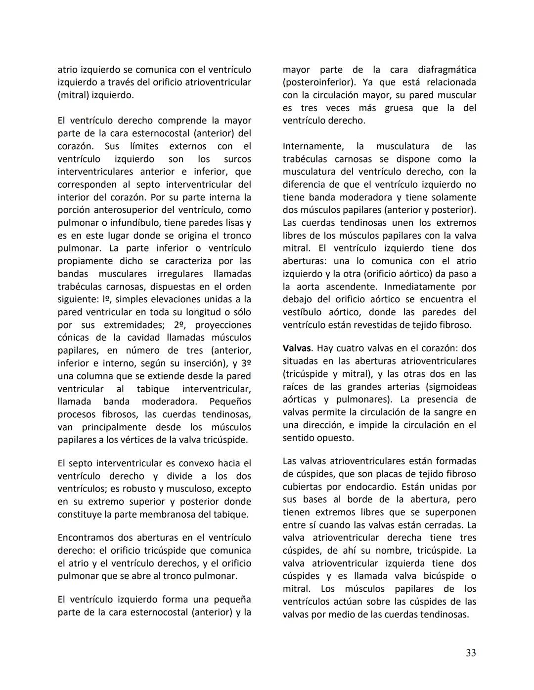 Facultad de Medicina
Clínica Alemana - Universidad del Desarrollo
ΑΝΑΤΟΜIA NORMAL
ΑΝΑΤΟΜIA HUMANA
Generalidades
Prof. Dr. Renato Acuña L.