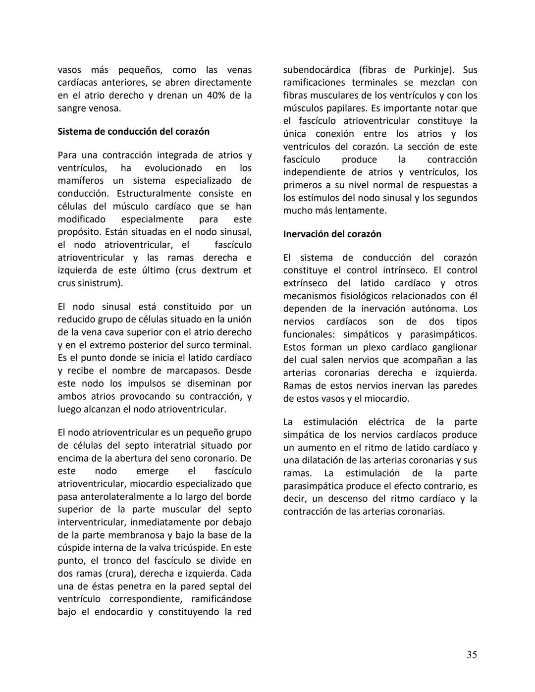 Facultad de Medicina
Clínica Alemana - Universidad del Desarrollo
ΑΝΑΤΟΜIA NORMAL
ΑΝΑΤΟΜIA HUMANA
Generalidades
Prof. Dr. Renato Acuña L.