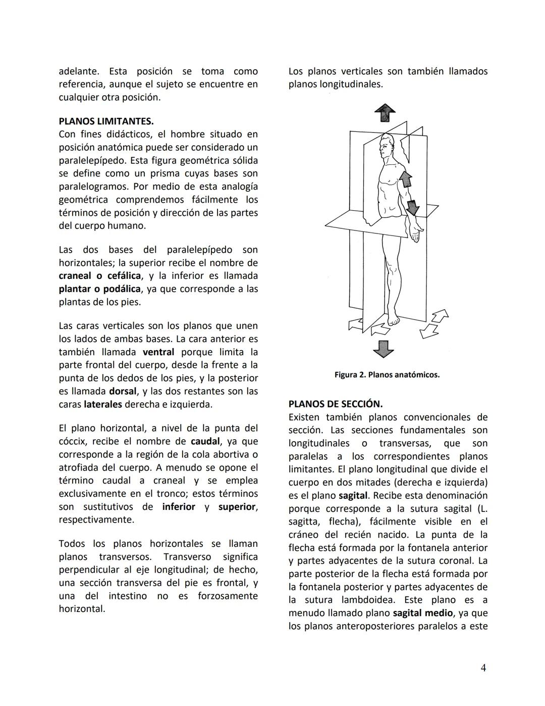 Facultad de Medicina
Clínica Alemana - Universidad del Desarrollo
ΑΝΑΤΟΜIA NORMAL
ΑΝΑΤΟΜIA HUMANA
Generalidades
Prof. Dr. Renato Acuña L.