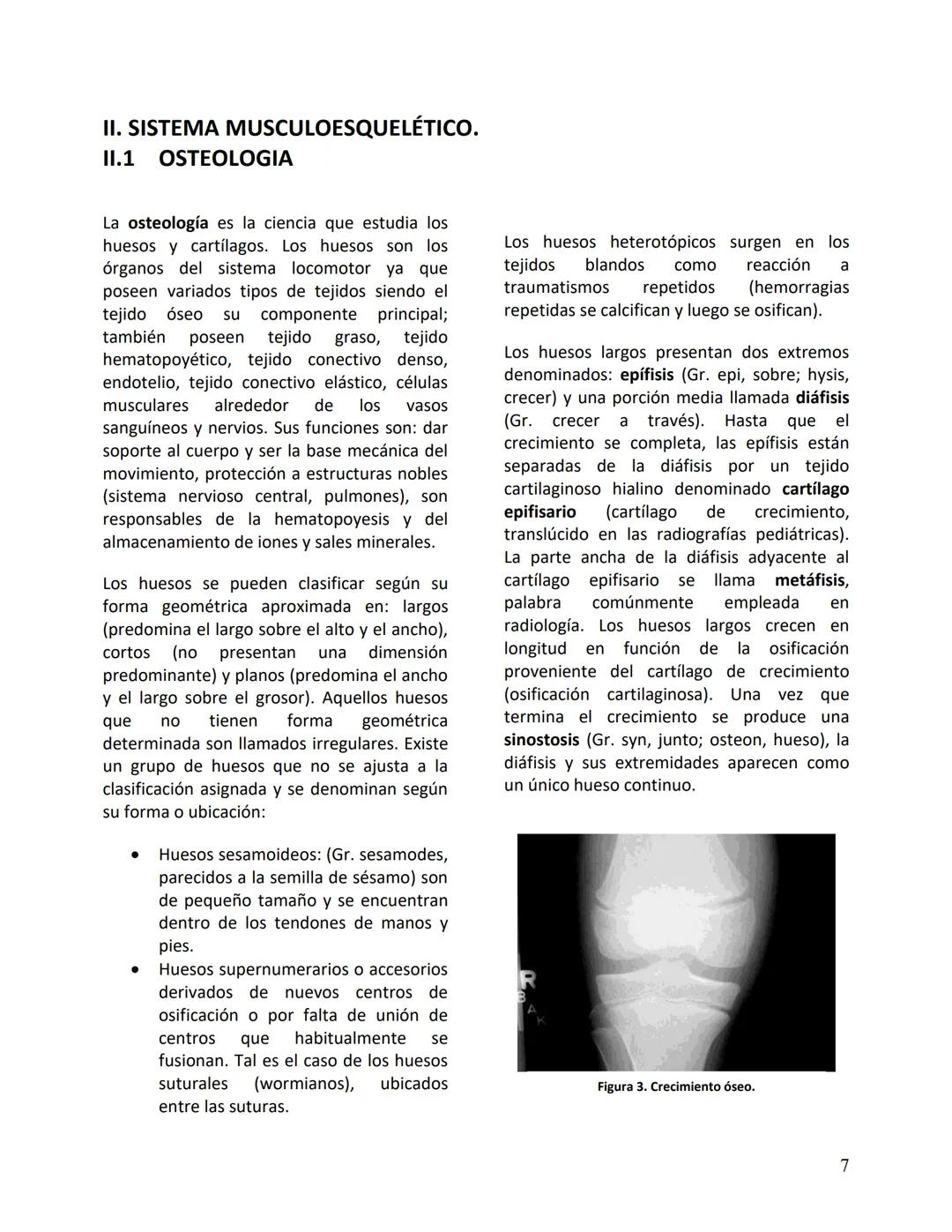 Facultad de Medicina
Clínica Alemana - Universidad del Desarrollo
ΑΝΑΤΟΜIA NORMAL
ΑΝΑΤΟΜIA HUMANA
Generalidades
Prof. Dr. Renato Acuña L.