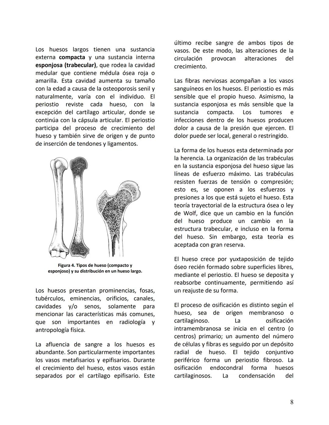 Facultad de Medicina
Clínica Alemana - Universidad del Desarrollo
ΑΝΑΤΟΜIA NORMAL
ΑΝΑΤΟΜIA HUMANA
Generalidades
Prof. Dr. Renato Acuña L.