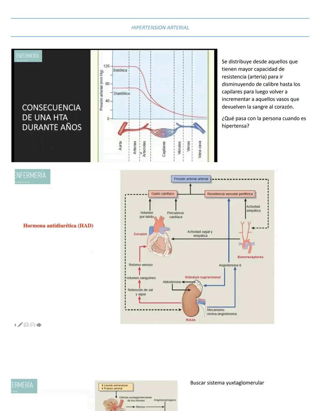 # Video clase para lunes 22 de abril
GENERALIDADES HTA
Fármacos:
# HIPOGLICEMIANTES:
- Inhibidores de las alfa glucosidasas (Acarbosas, mi