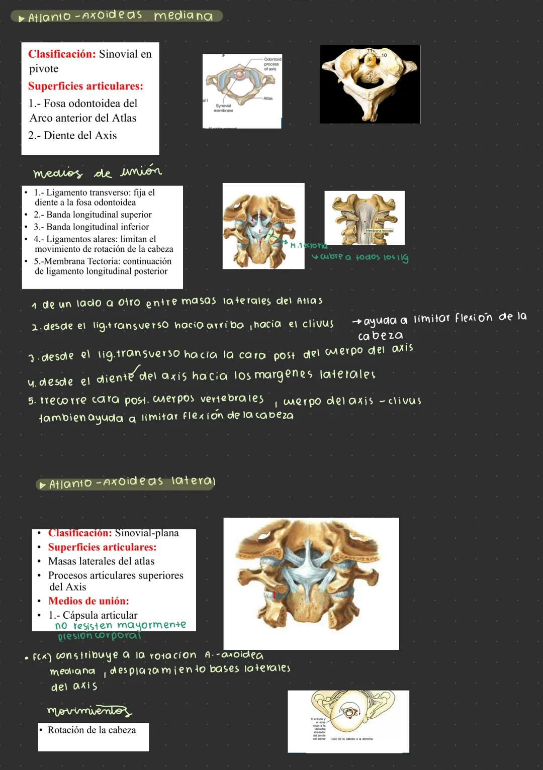 --- OCR Start ---
Articulación temporomandibular
¿por que se escucha un click mandibular al
abrir o cerrar la mandibula?
→ desplazamiento
d