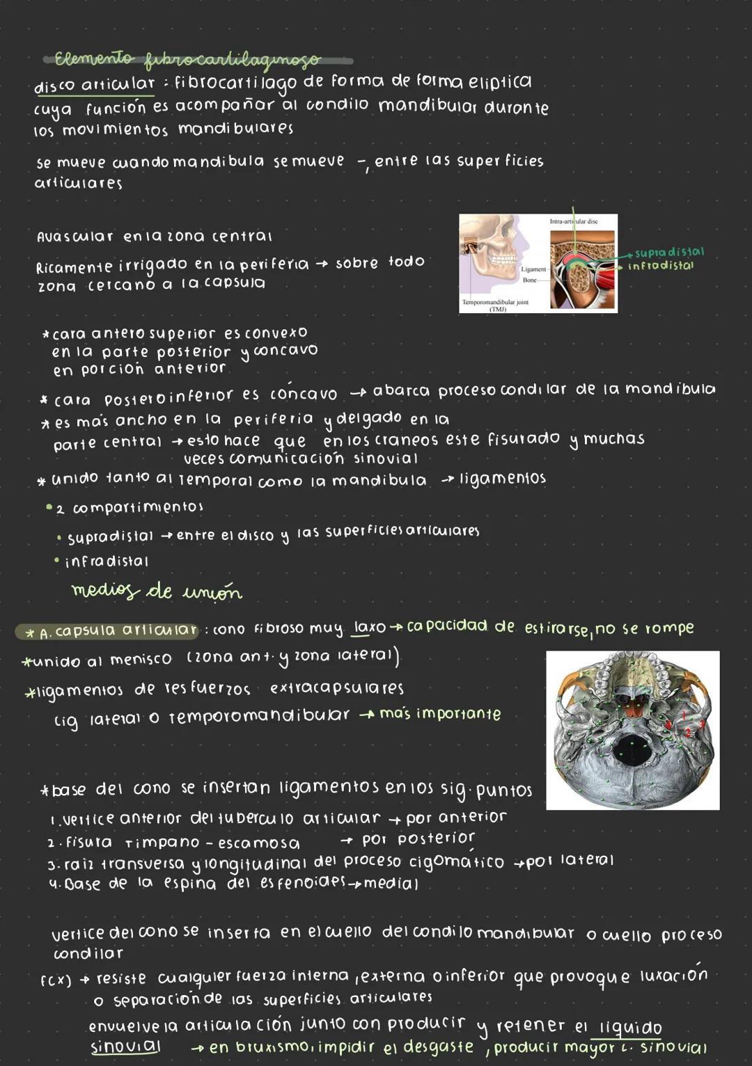--- OCR Start ---
Articulación temporomandibular
¿por que se escucha un click mandibular al
abrir o cerrar la mandibula?
→ desplazamiento
d