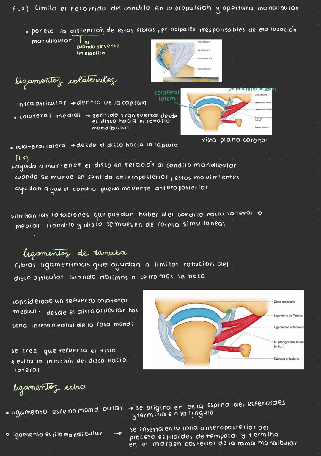--- OCR Start ---
Articulación temporomandibular
¿por que se escucha un click mandibular al
abrir o cerrar la mandibula?
→ desplazamiento
d