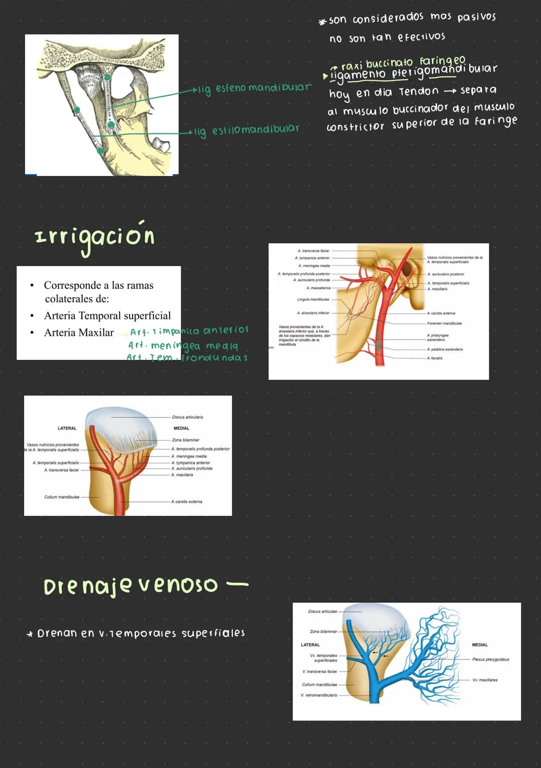 --- OCR Start ---
Articulación temporomandibular
¿por que se escucha un click mandibular al
abrir o cerrar la mandibula?
→ desplazamiento
d