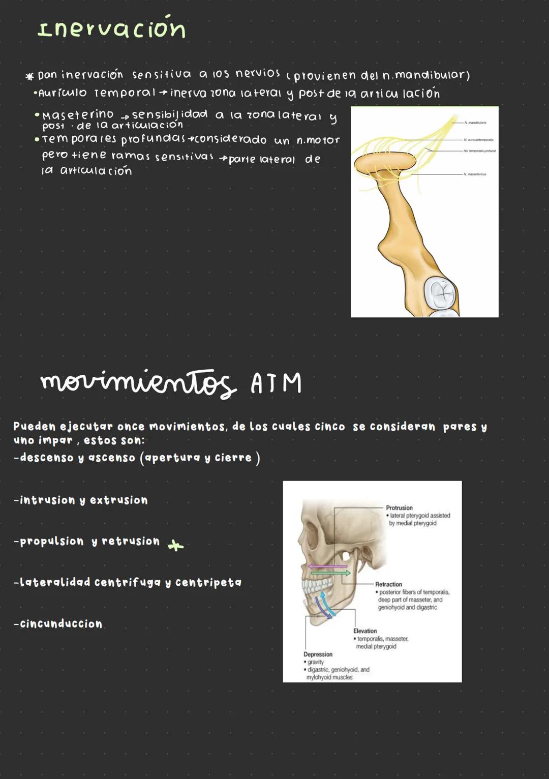 --- OCR Start ---
Articulación temporomandibular
¿por que se escucha un click mandibular al
abrir o cerrar la mandibula?
→ desplazamiento
d