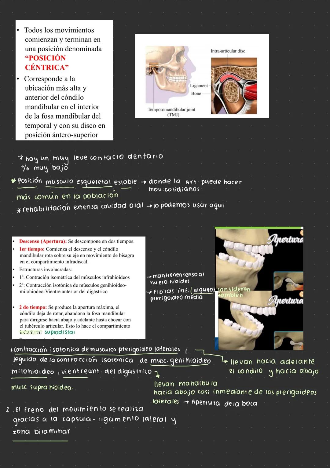 --- OCR Start ---
Articulación temporomandibular
¿por que se escucha un click mandibular al
abrir o cerrar la mandibula?
→ desplazamiento
d