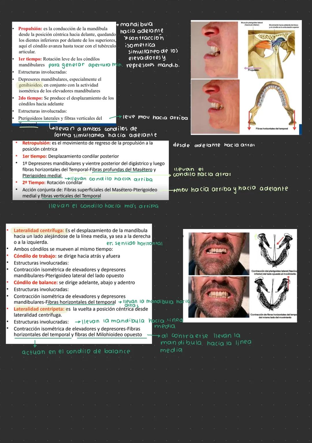 --- OCR Start ---
Articulación temporomandibular
¿por que se escucha un click mandibular al
abrir o cerrar la mandibula?
→ desplazamiento
d