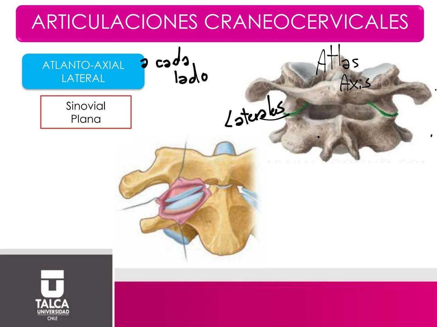 DEPARTAMENTO DE
CIENCIAS BÁSICAS
BIOMÉDICAS
FACULTAD DE CS. DE LA SALUD
Facultad
CS Ciencias dela Salud
Universidad
de
Talca
T
TALCA
UNIVERS