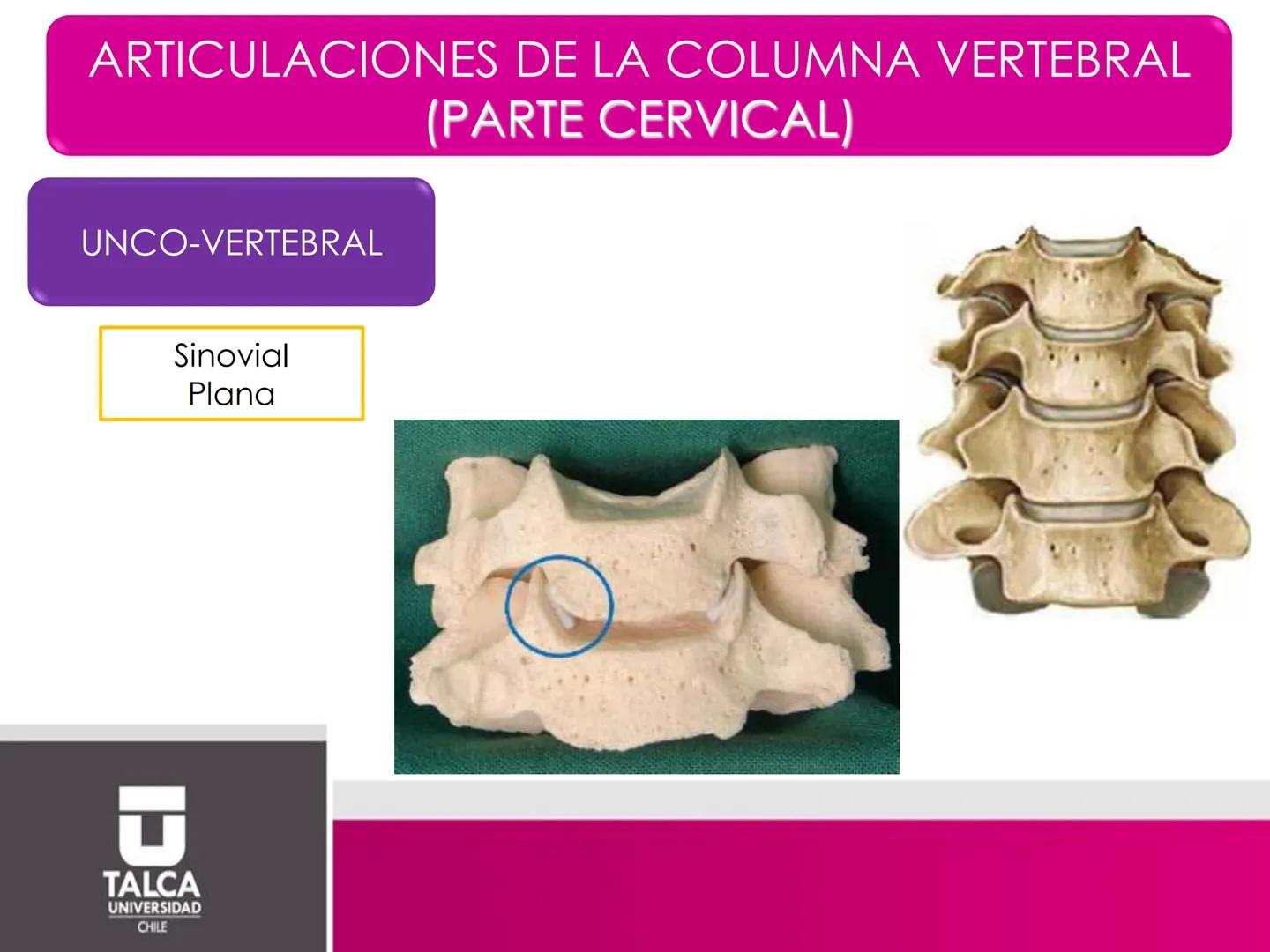 DEPARTAMENTO DE
CIENCIAS BÁSICAS
BIOMÉDICAS
FACULTAD DE CS. DE LA SALUD
Facultad
CS Ciencias dela Salud
Universidad
de
Talca
T
TALCA
UNIVERS