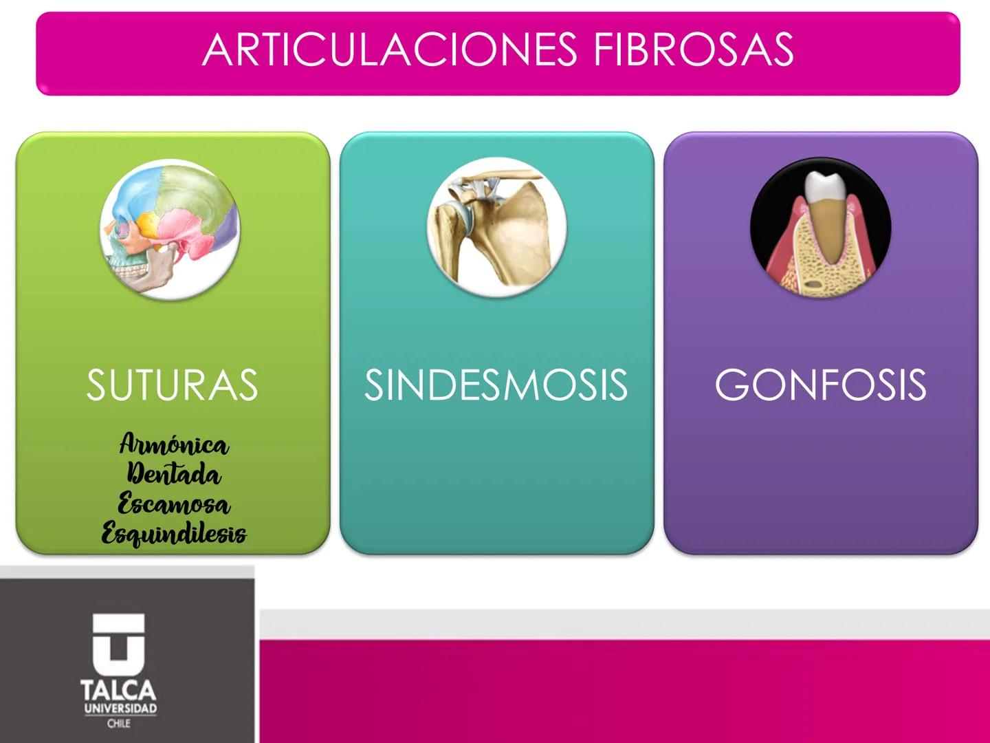 DEPARTAMENTO DE
CIENCIAS BÁSICAS
BIOMÉDICAS
FACULTAD DE CS. DE LA SALUD
Facultad
CS Ciencias dela Salud
Universidad
de
Talca
T
TALCA
UNIVERS