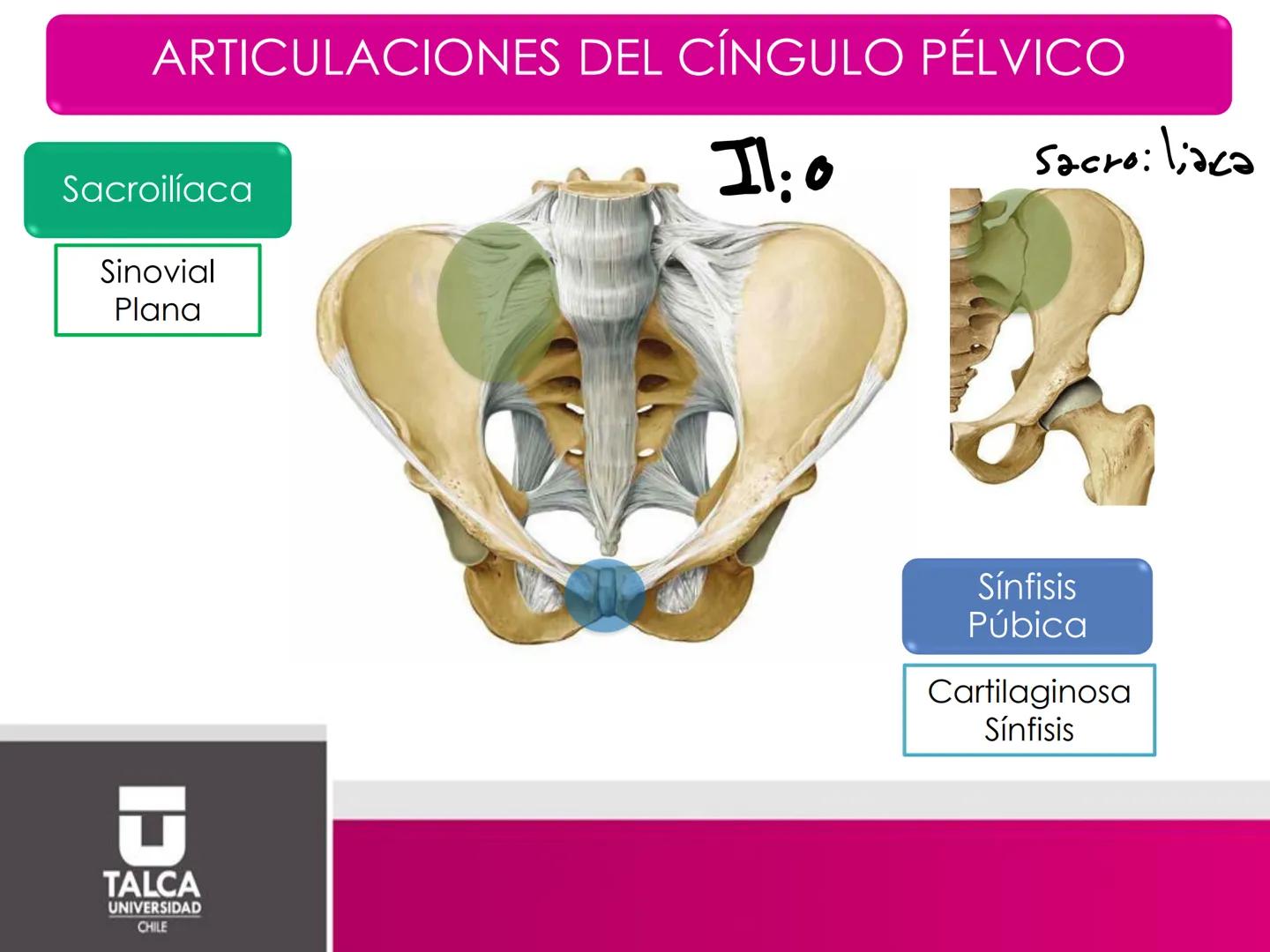 DEPARTAMENTO DE
CIENCIAS BÁSICAS
BIOMÉDICAS
FACULTAD DE CS. DE LA SALUD
Facultad
CS Ciencias dela Salud
Universidad
de
Talca
T
TALCA
UNIVERS