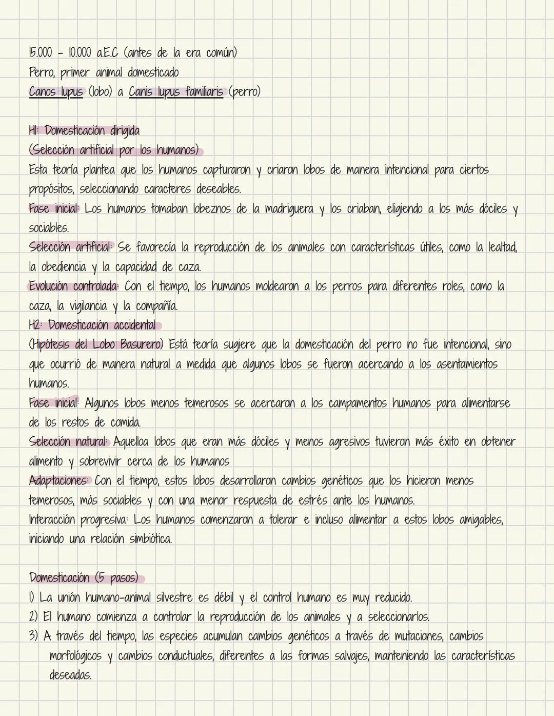 Historia de la medicina veterinaria en el mundo
Definición
Medicina Proviene del latin mediri el cual significa cuidar, curar o tratar.
Vet
