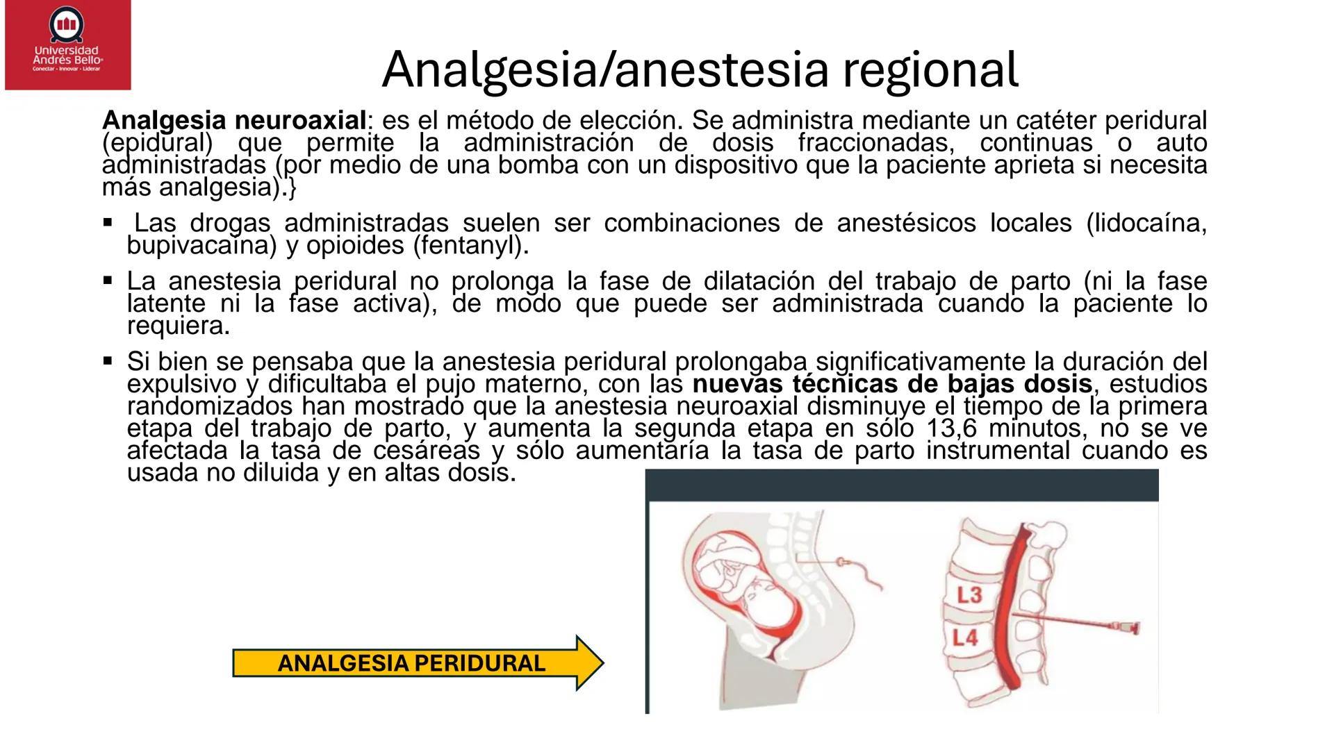 --- OCR Start ---
Universidad
Andrés Bello
Conectar-Innovar-Liderar
CLASE 12
Monitorización Electrónica Fetal
Vigilancia intraparto II: MEFI