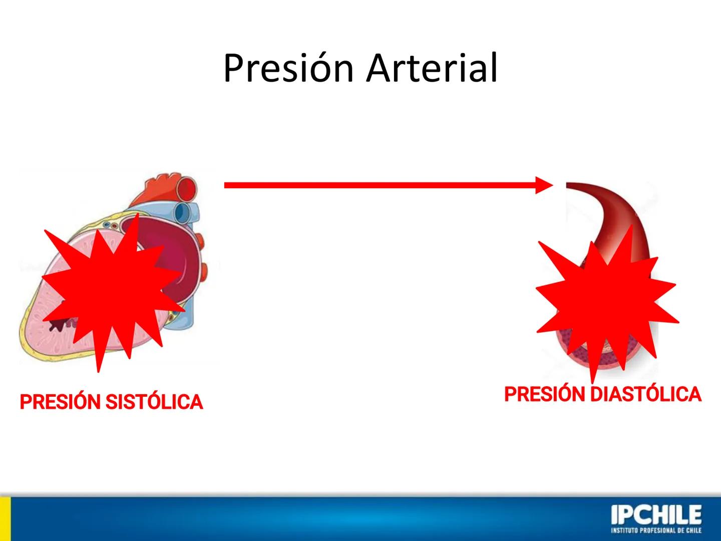 IPCHILE
INSTITUTO PROFESIONAL DE CHILE
Clase Teórica 1:
Farmacología
Cardiovascular I
Klgo. Leonardo Ahumada Fuentes.
Docente Intervención C