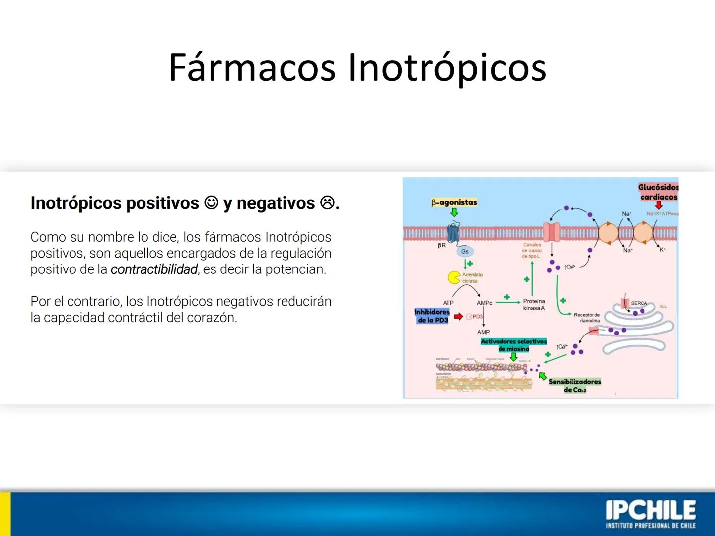 IPCHILE
INSTITUTO PROFESIONAL DE CHILE
Clase Teórica 1:
Farmacología
Cardiovascular I
Klgo. Leonardo Ahumada Fuentes.
Docente Intervención C
