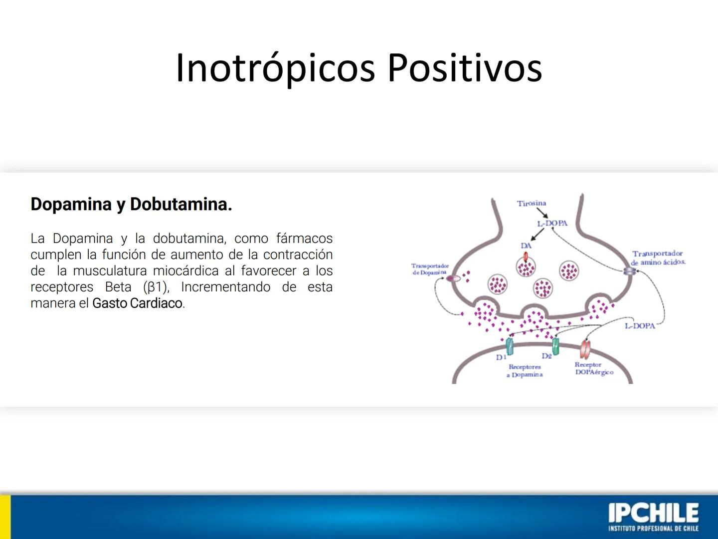 IPCHILE
INSTITUTO PROFESIONAL DE CHILE
Clase Teórica 1:
Farmacología
Cardiovascular I
Klgo. Leonardo Ahumada Fuentes.
Docente Intervención C