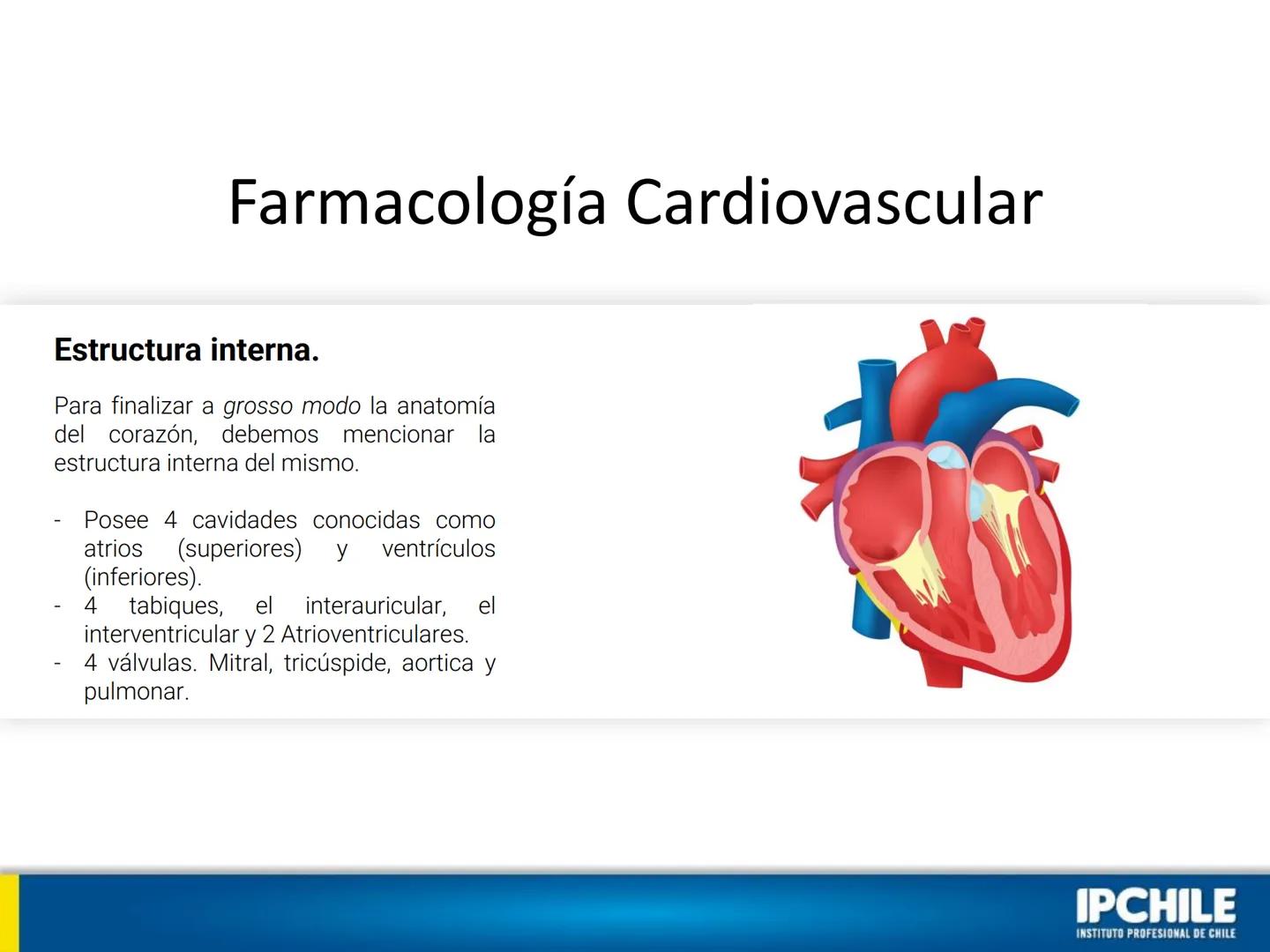 IPCHILE
INSTITUTO PROFESIONAL DE CHILE
Clase Teórica 1:
Farmacología
Cardiovascular I
Klgo. Leonardo Ahumada Fuentes.
Docente Intervención C