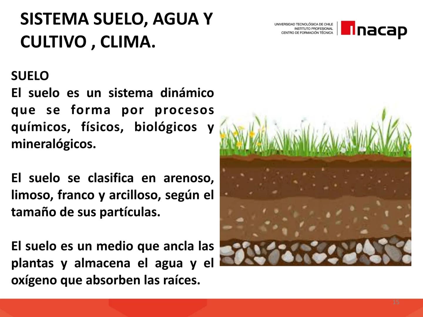 # INTRODUCCIÓN A
# SISTEMAS PRODUCTIVOS
# AGRÍCOLAS (AGO311)
UNIVERSIDAD TECNOLÓGICA DE CHILE
INSTITUTO PROFESIONAL
CENTRO DE FORMACIÓN T