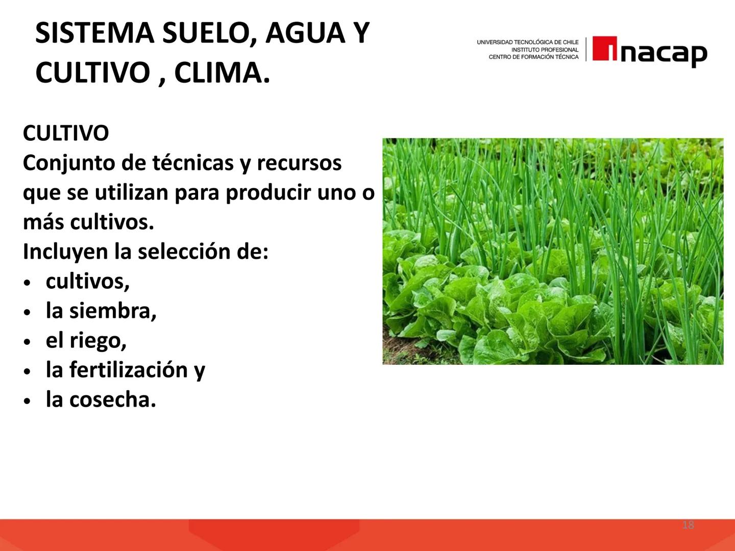 # INTRODUCCIÓN A
# SISTEMAS PRODUCTIVOS
# AGRÍCOLAS (AGO311)
UNIVERSIDAD TECNOLÓGICA DE CHILE
INSTITUTO PROFESIONAL
CENTRO DE FORMACIÓN T