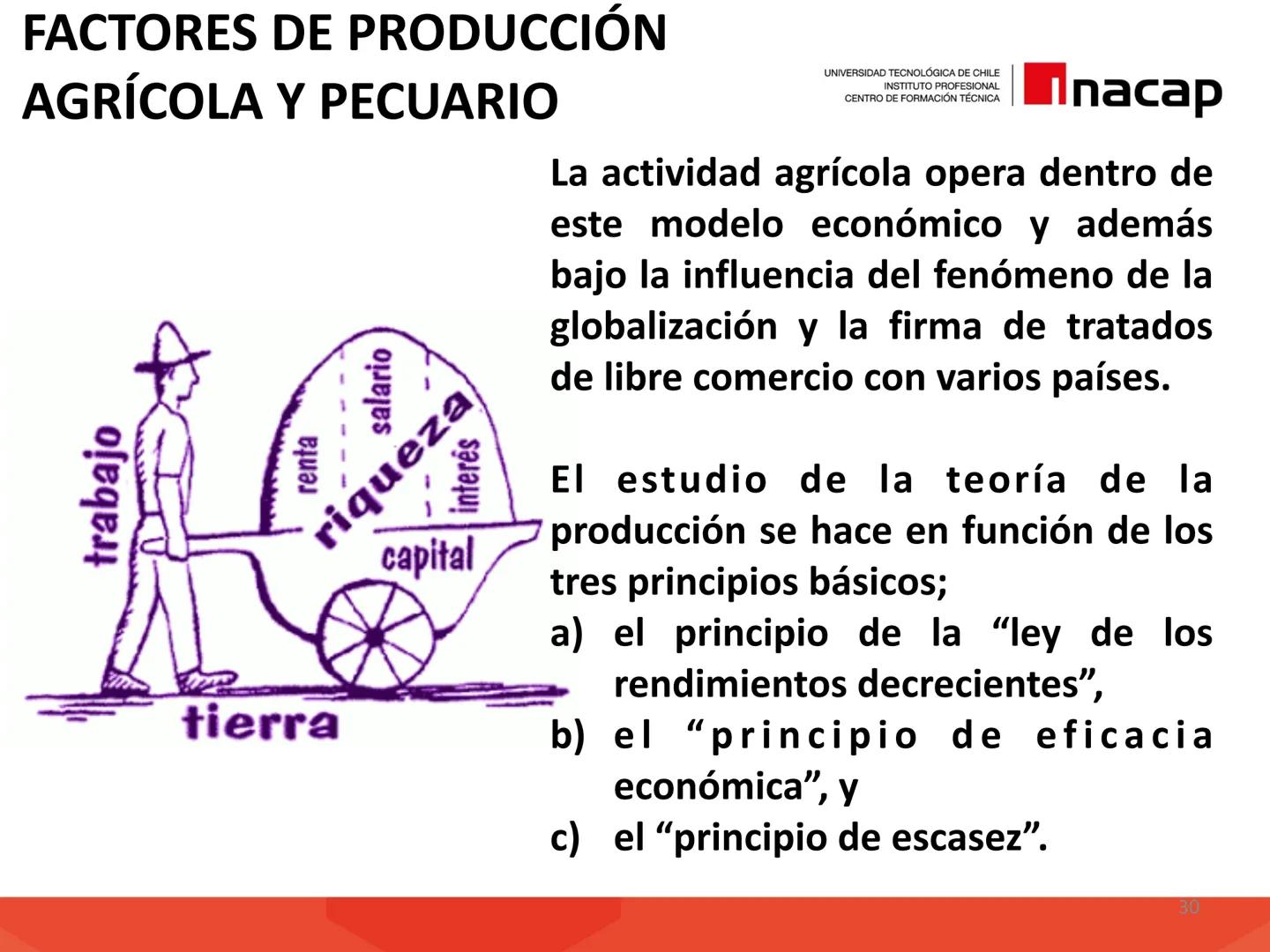# INTRODUCCIÓN A
# SISTEMAS PRODUCTIVOS
# AGRÍCOLAS (AGO311)
UNIVERSIDAD TECNOLÓGICA DE CHILE
INSTITUTO PROFESIONAL
CENTRO DE FORMACIÓN T