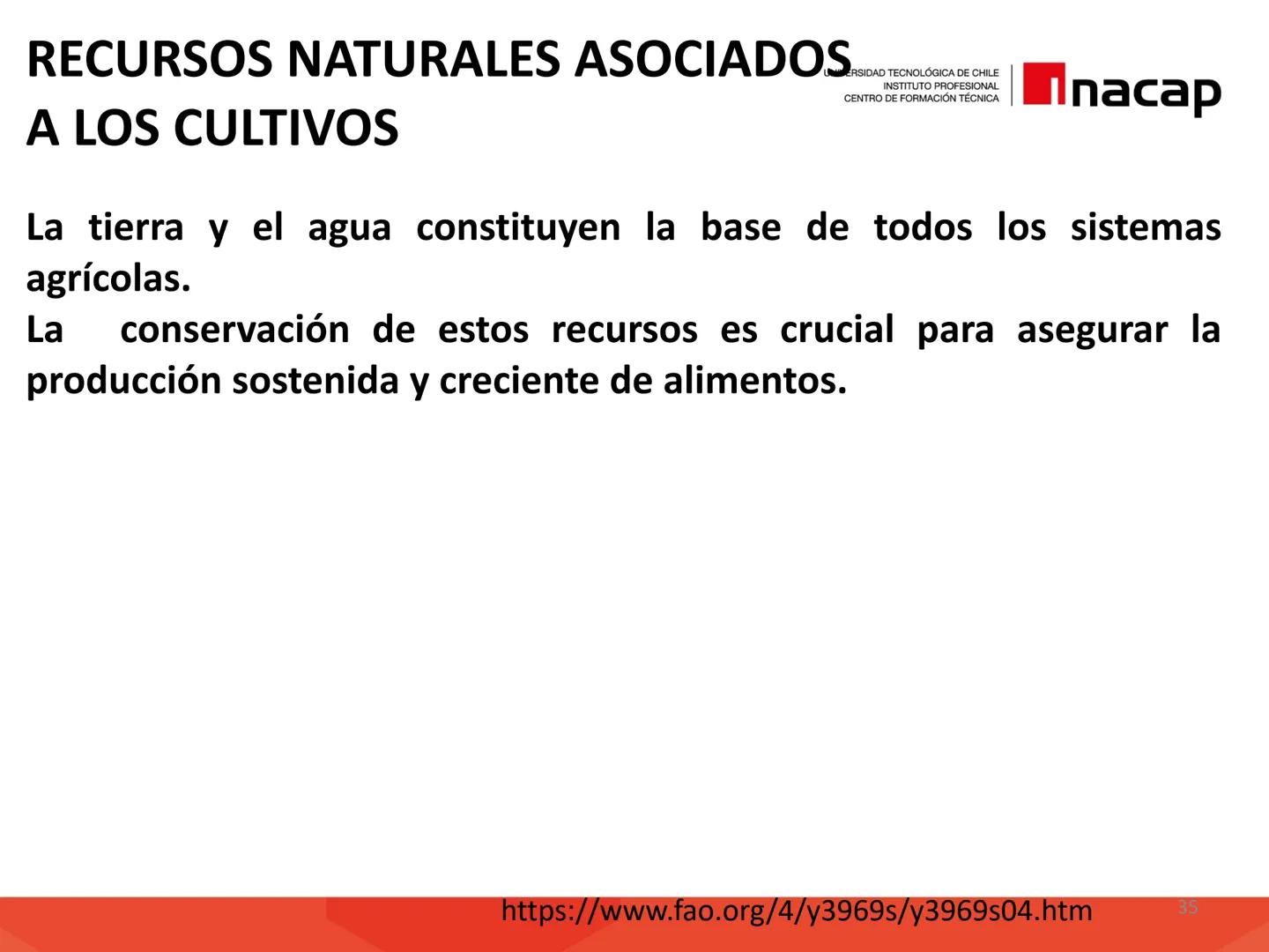 # INTRODUCCIÓN A
# SISTEMAS PRODUCTIVOS
# AGRÍCOLAS (AGO311)
UNIVERSIDAD TECNOLÓGICA DE CHILE
INSTITUTO PROFESIONAL
CENTRO DE FORMACIÓN T