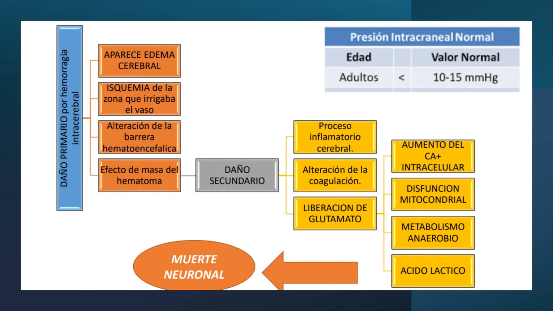 --- OCR Start ---
VAMOS
CON
TODOS
3
TO TOM
UST
UNIVERSIDAD SANTO TOMÁS
UNIVERSIDAD SANTO TOMÁS
PROCESO DE ACREDITACIÓN
2025
Gestión del Cuid