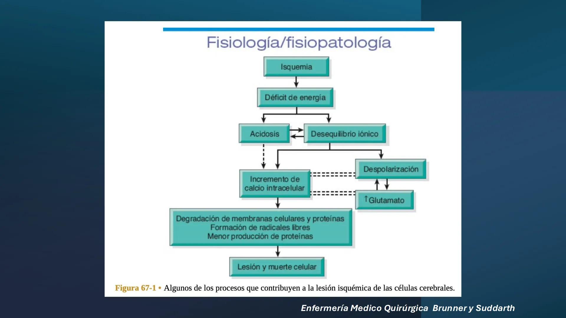--- OCR Start ---
VAMOS
CON
TODOS
3
TO TOM
UST
UNIVERSIDAD SANTO TOMÁS
UNIVERSIDAD SANTO TOMÁS
PROCESO DE ACREDITACIÓN
2025
Gestión del Cuid