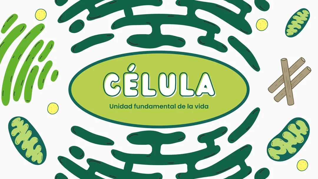 Celula