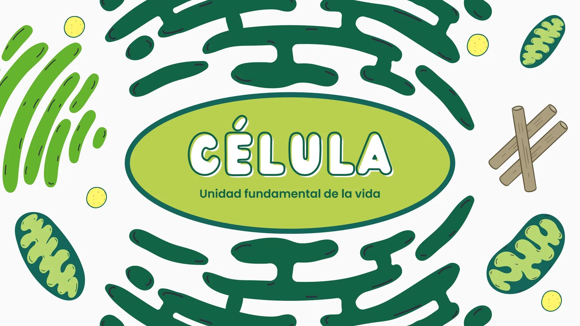 # CÉLULA
Unidad fundamental de la vida TEMARIO
01
Célula.
03
Estructura y funciones básicas.
02
Típos de células: componentes.
04
Sínte