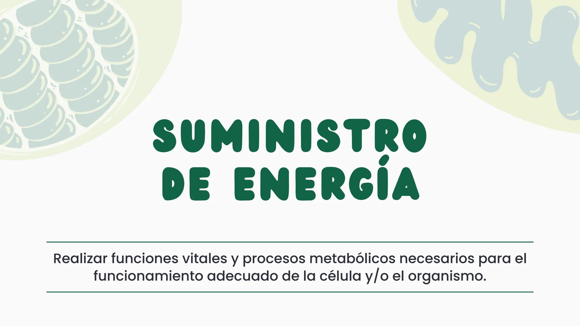 # CÉLULA
Unidad fundamental de la vida TEMARIO
01
Célula.
03
Estructura y funciones básicas.
02
Típos de células: componentes.
04
Sínte