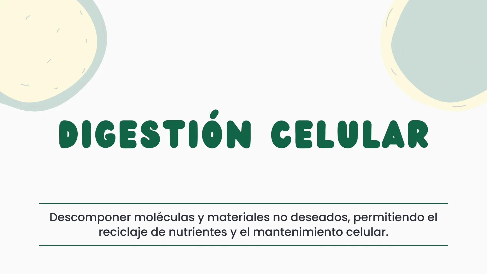# CÉLULA
Unidad fundamental de la vida TEMARIO
01
Célula.
03
Estructura y funciones básicas.
02
Típos de células: componentes.
04
Sínte