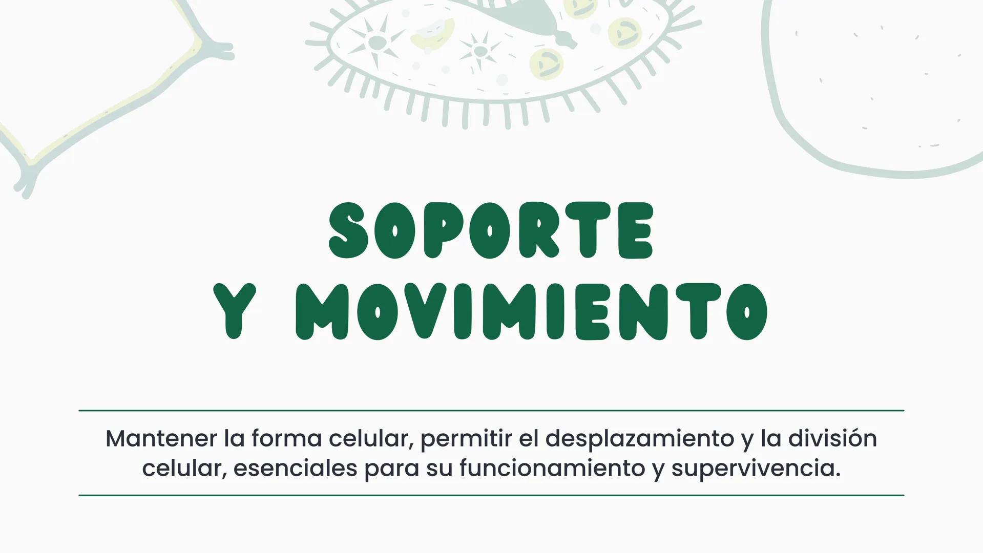 # CÉLULA
Unidad fundamental de la vida TEMARIO
01
Célula.
03
Estructura y funciones básicas.
02
Típos de células: componentes.
04
Sínte