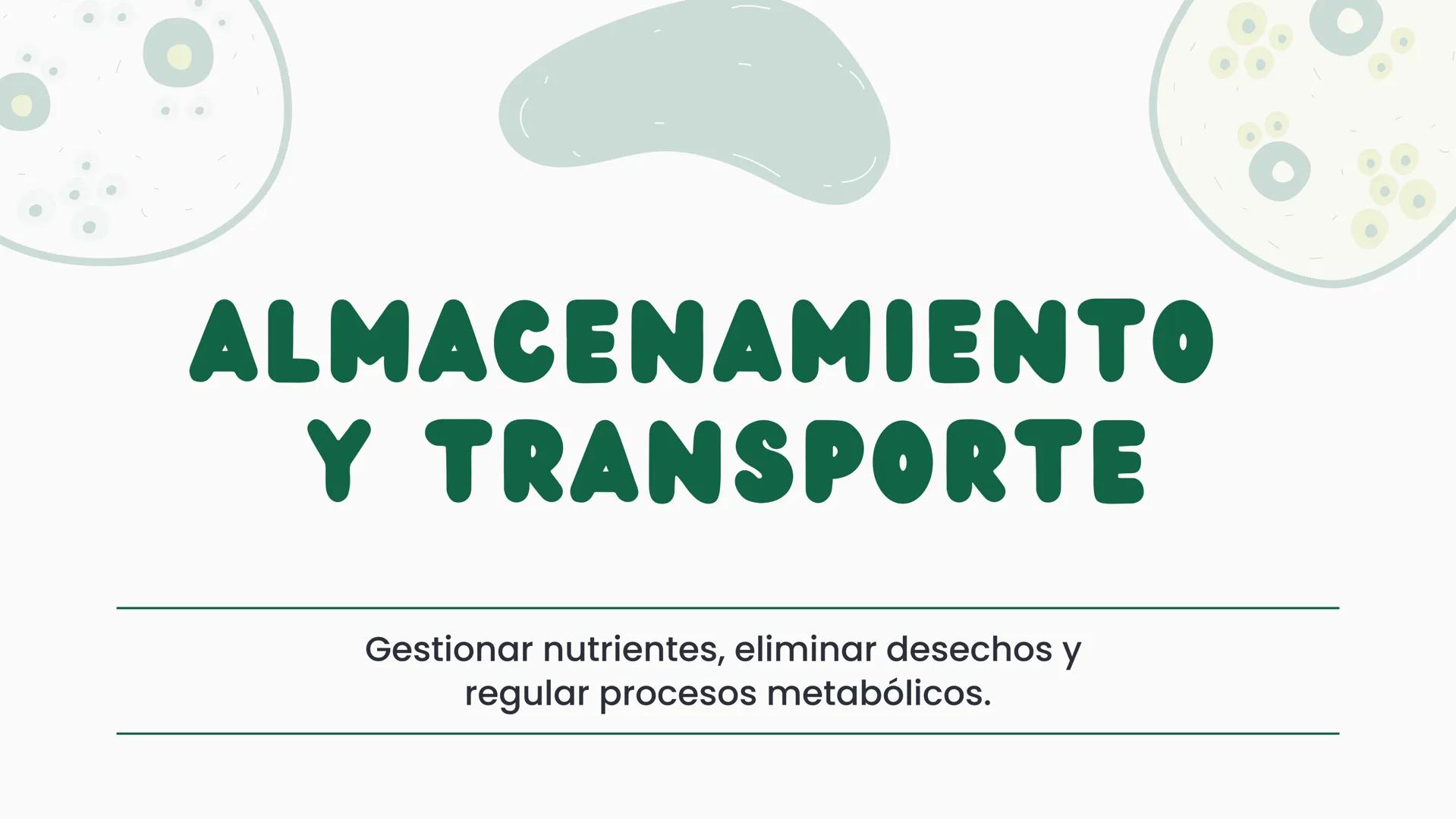 # CÉLULA
Unidad fundamental de la vida TEMARIO
01
Célula.
03
Estructura y funciones básicas.
02
Típos de células: componentes.
04
Sínte