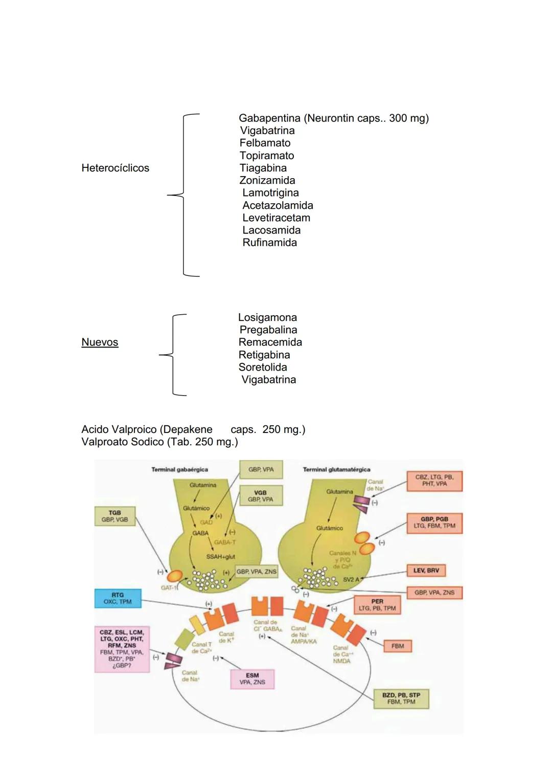 # ANTIEPILEPTICOS (ANTICONVULSIVANTES)
Hace más de un siglo, Jhon Hughlings Jackson, el padre de los conceptos
modernos sobre la epilepsia,