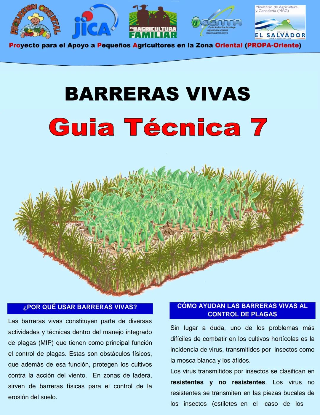 ORIENTAL
JICA
MAGRICULTURA
FAMILIAR
OCENTIA
Cembo Nacional
Agropecuales y Fredd
Alvires Condens
Ministerio de Agricultura
y Ganadería (MAG)