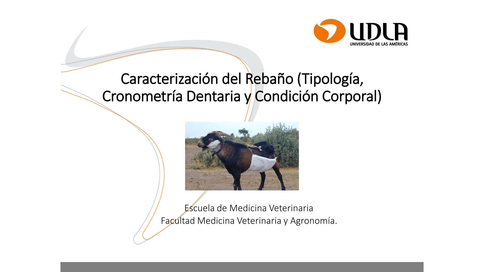 UDLA
UNIVERSIDAD DE LAS AMERICAS
Caracterización del Rebaño (Tipología,
Cronometría Dentaria y Condición Corporal)
Escuela de Medicina Ve