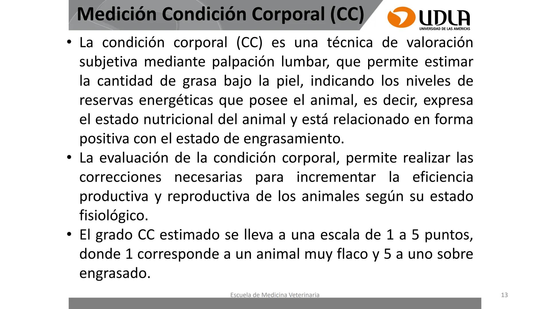 UDLA
UNIVERSIDAD DE LAS AMERICAS
Caracterización del Rebaño (Tipología,
Cronometría Dentaria y Condición Corporal)
Escuela de Medicina Ve