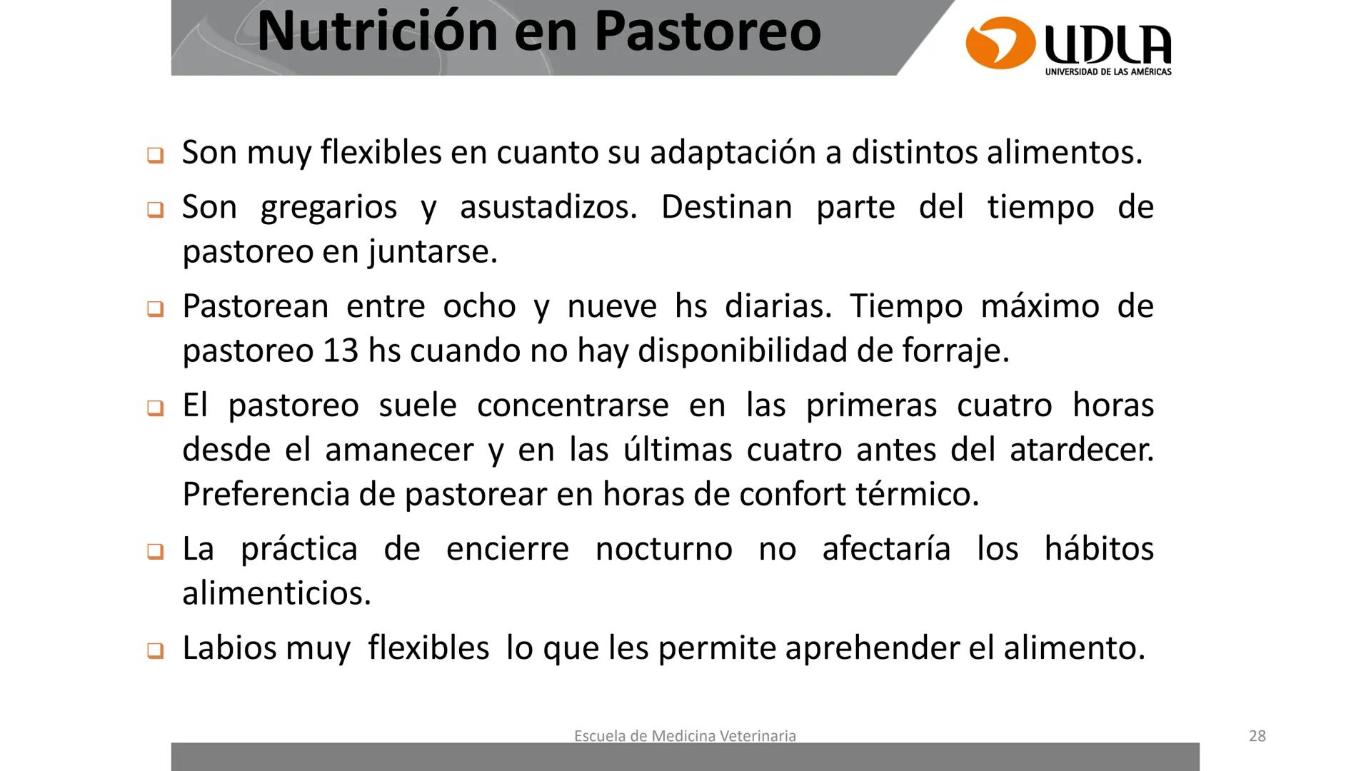 UDLA
UNIVERSIDAD DE LAS AMERICAS
Caracterización del Rebaño (Tipología,
Cronometría Dentaria y Condición Corporal)
Escuela de Medicina Ve
