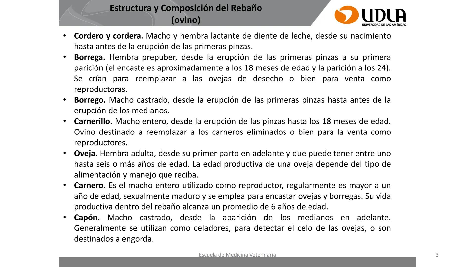UDLA
UNIVERSIDAD DE LAS AMERICAS
Caracterización del Rebaño (Tipología,
Cronometría Dentaria y Condición Corporal)
Escuela de Medicina Ve