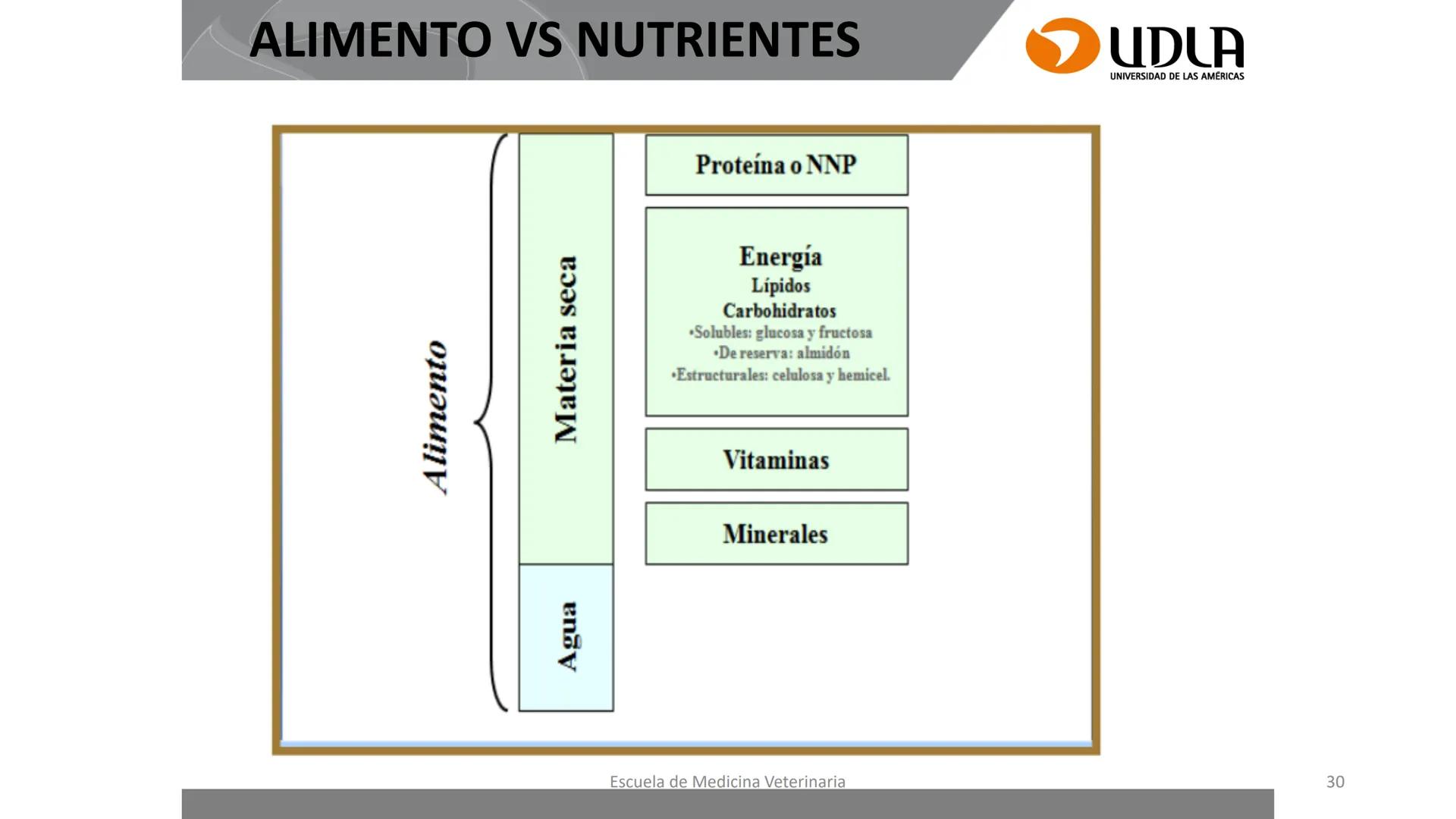 UDLA
UNIVERSIDAD DE LAS AMERICAS
Caracterización del Rebaño (Tipología,
Cronometría Dentaria y Condición Corporal)
Escuela de Medicina Ve