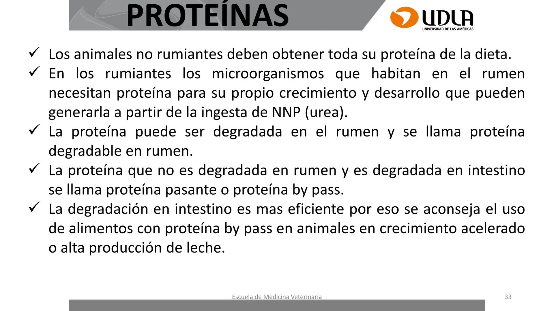 UDLA
UNIVERSIDAD DE LAS AMERICAS
Caracterización del Rebaño (Tipología,
Cronometría Dentaria y Condición Corporal)
Escuela de Medicina Ve