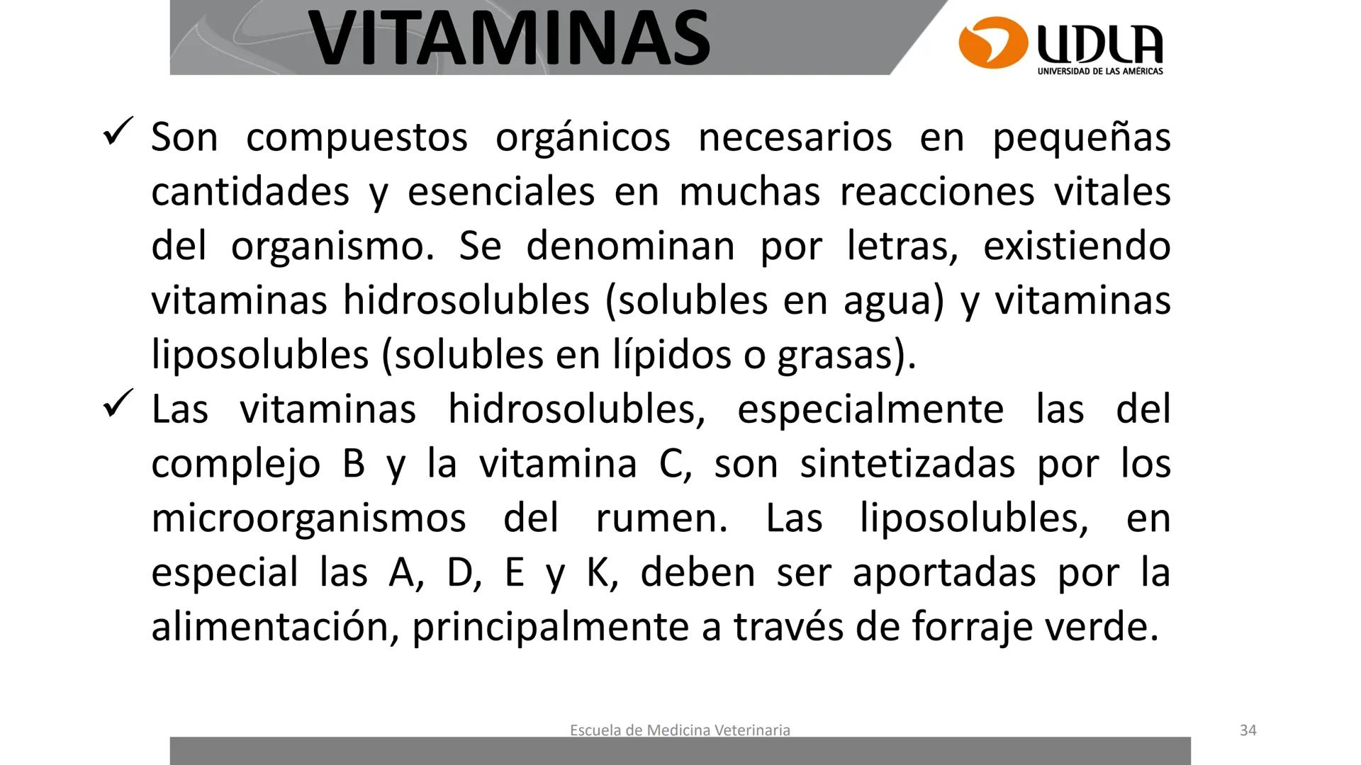 UDLA
UNIVERSIDAD DE LAS AMERICAS
Caracterización del Rebaño (Tipología,
Cronometría Dentaria y Condición Corporal)
Escuela de Medicina Ve