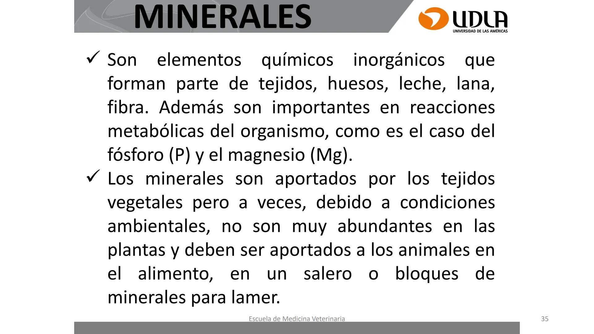 UDLA
UNIVERSIDAD DE LAS AMERICAS
Caracterización del Rebaño (Tipología,
Cronometría Dentaria y Condición Corporal)
Escuela de Medicina Ve