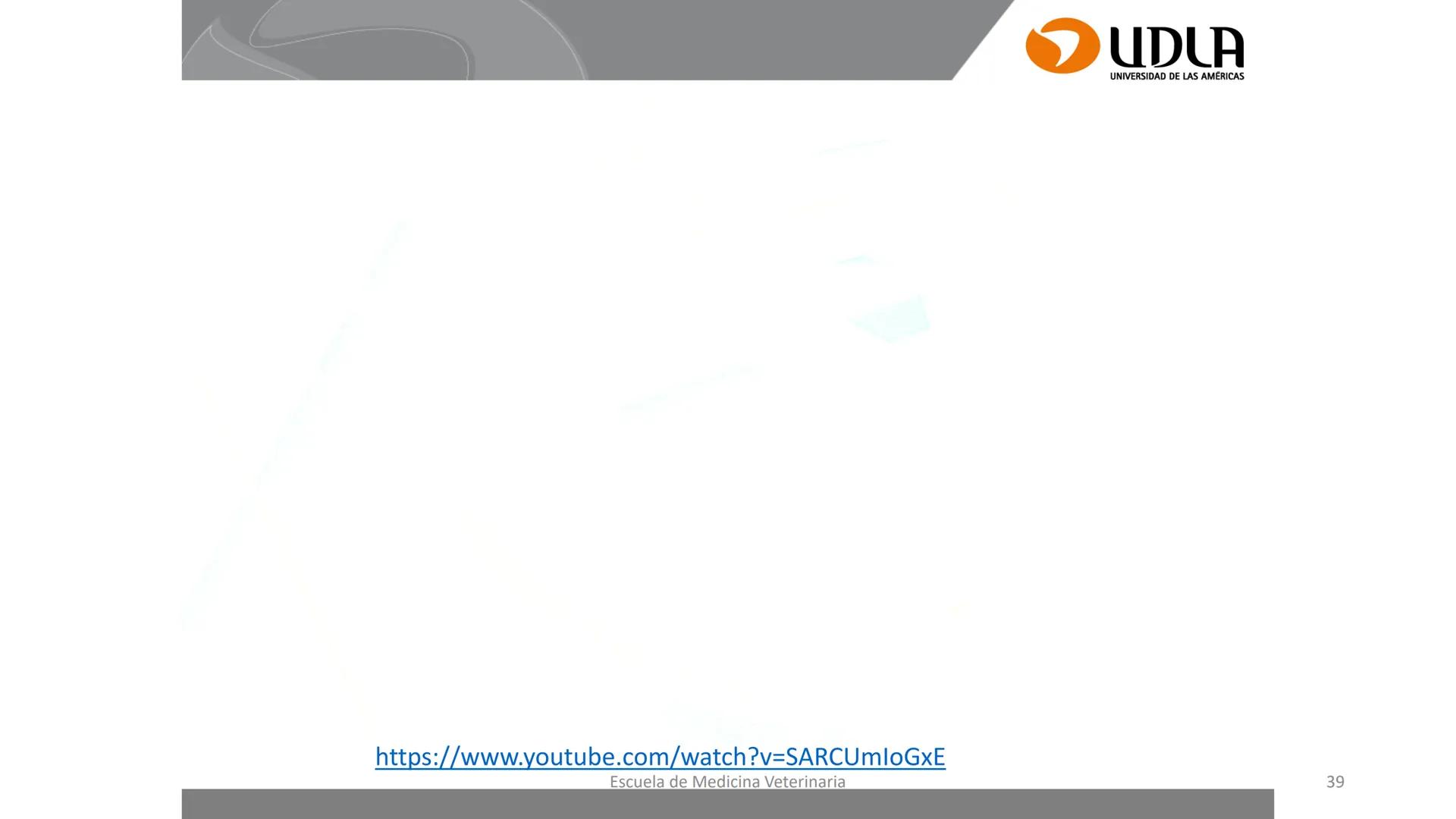 UDLA
UNIVERSIDAD DE LAS AMERICAS
Caracterización del Rebaño (Tipología,
Cronometría Dentaria y Condición Corporal)
Escuela de Medicina Ve