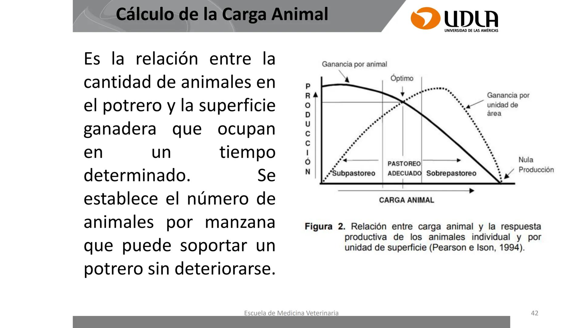 UDLA
UNIVERSIDAD DE LAS AMERICAS
Caracterización del Rebaño (Tipología,
Cronometría Dentaria y Condición Corporal)
Escuela de Medicina Ve