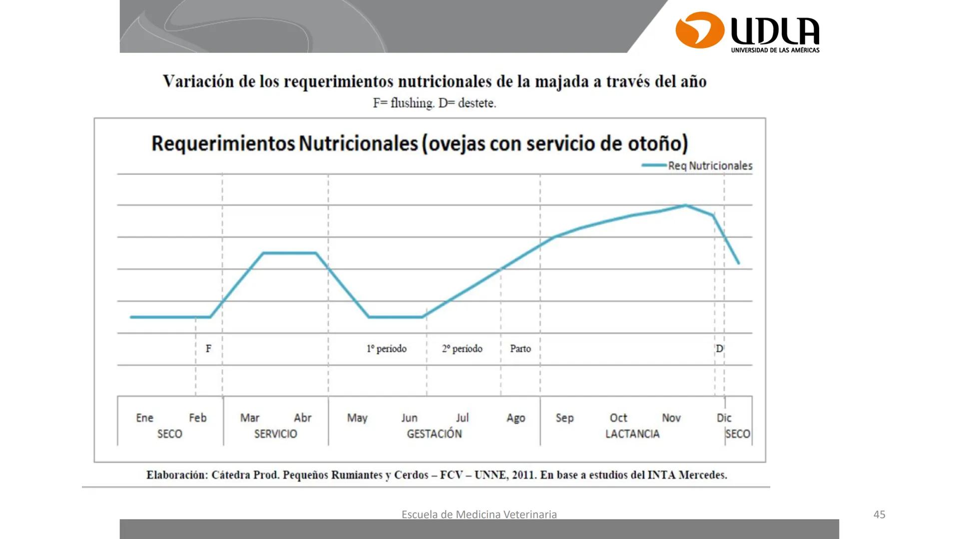 UDLA
UNIVERSIDAD DE LAS AMERICAS
Caracterización del Rebaño (Tipología,
Cronometría Dentaria y Condición Corporal)
Escuela de Medicina Ve