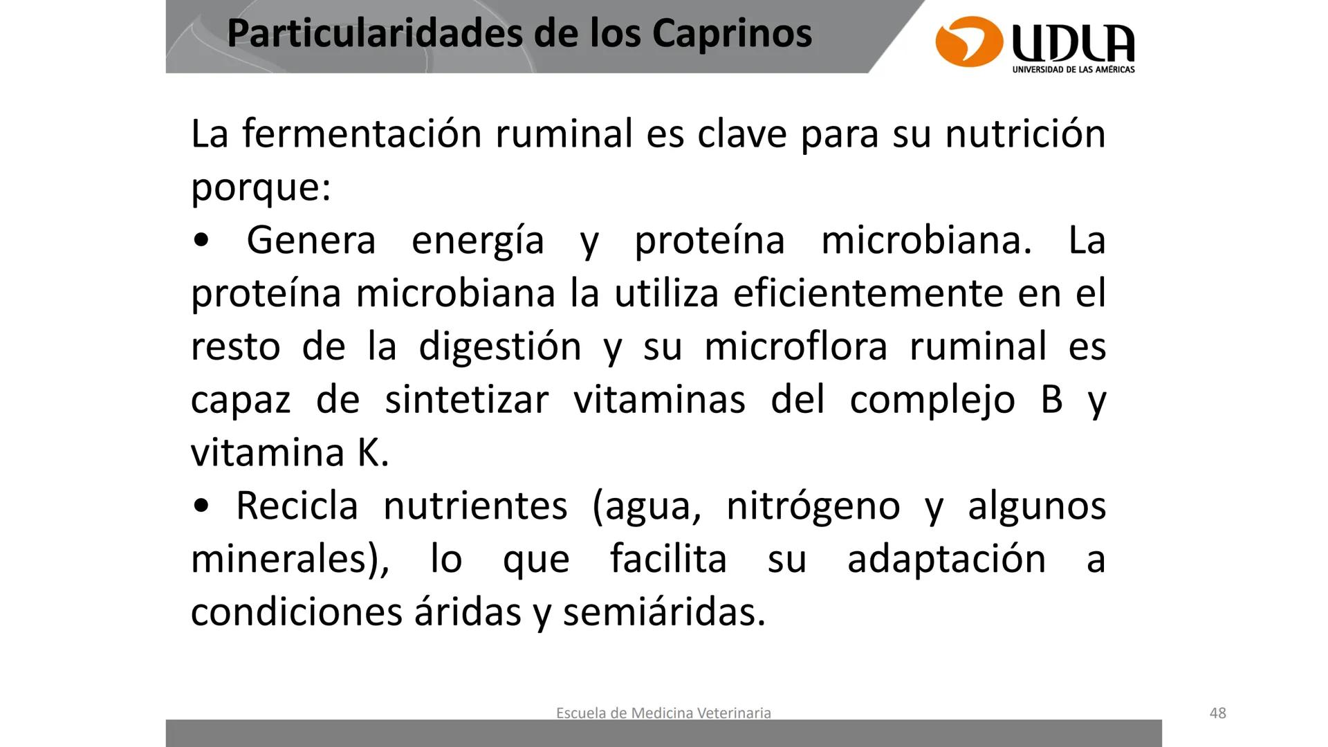 UDLA
UNIVERSIDAD DE LAS AMERICAS
Caracterización del Rebaño (Tipología,
Cronometría Dentaria y Condición Corporal)
Escuela de Medicina Ve
