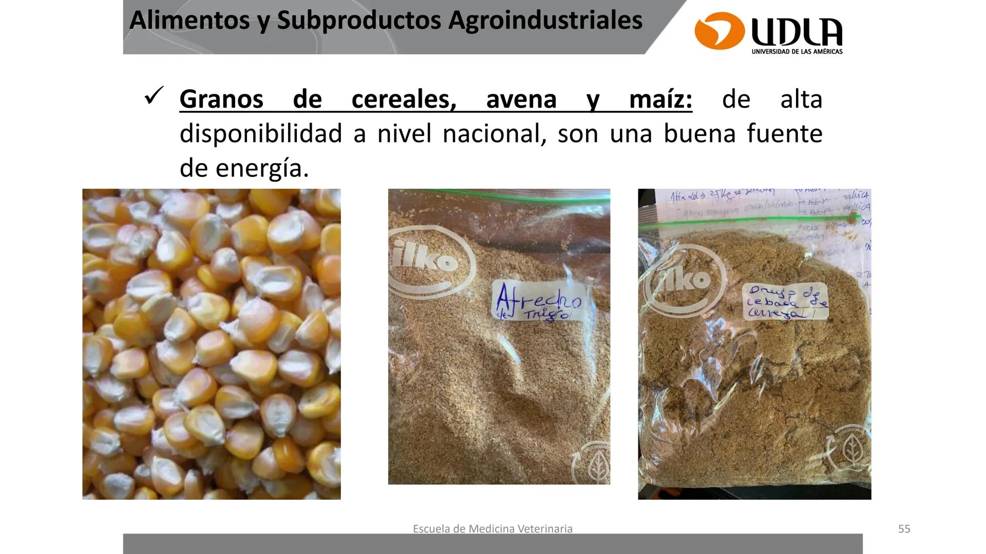 UDLA
UNIVERSIDAD DE LAS AMERICAS
Caracterización del Rebaño (Tipología,
Cronometría Dentaria y Condición Corporal)
Escuela de Medicina Ve